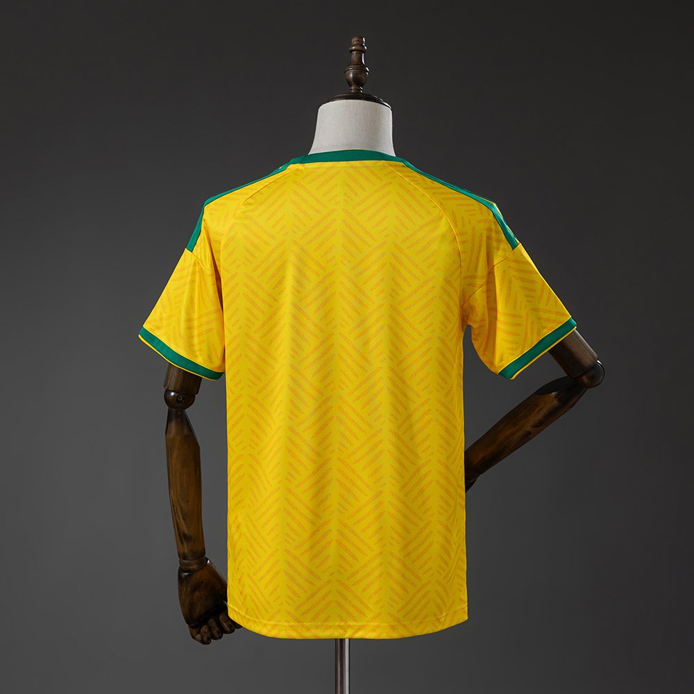 Sudáfrica Mundial 2026 Local - Imagen 2